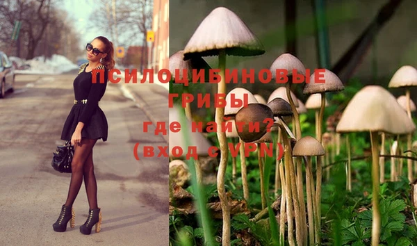 дурь Волоколамск