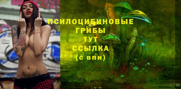 spice Володарск