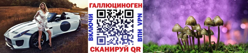 Псилоцибиновые грибы прущие грибы  Вязники 